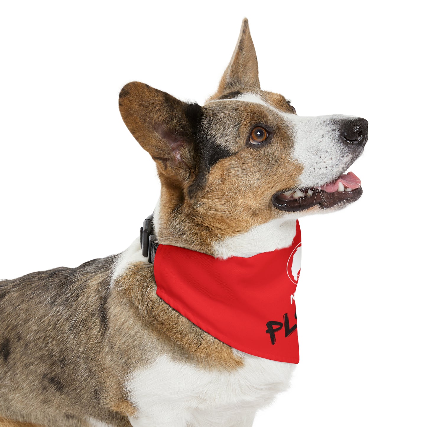 Pet Bandana Collar - No hay plata - Rojo