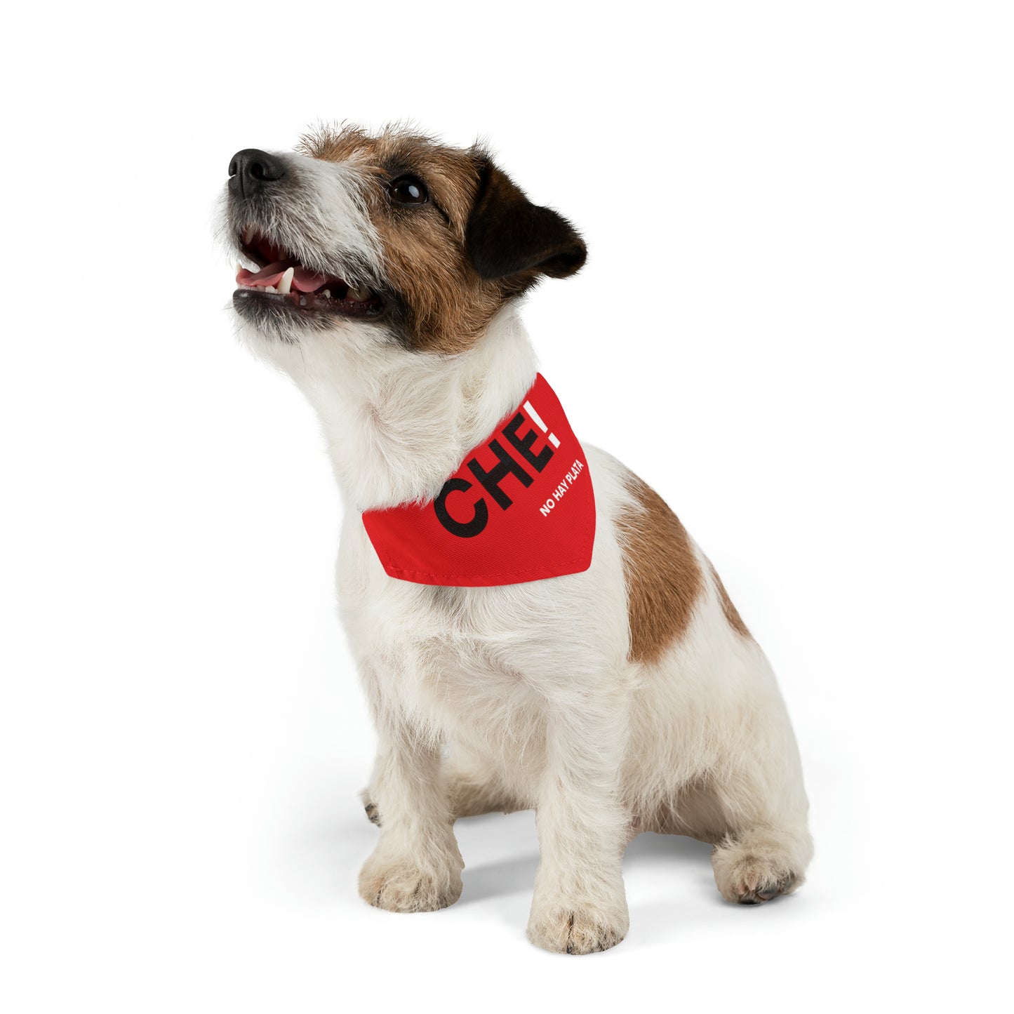 Pet Bandana Collar - Che! No hay plata - Rojo