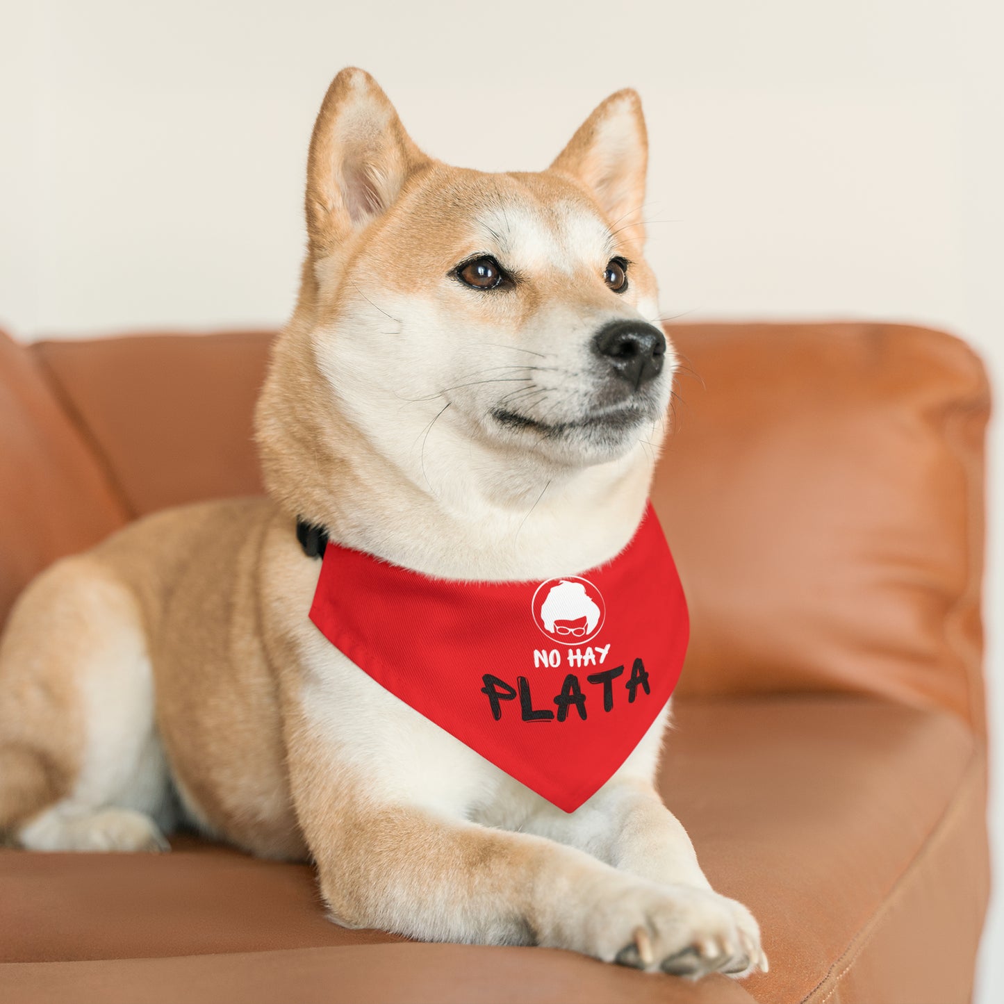 Pet Bandana Collar - No hay plata - Rojo