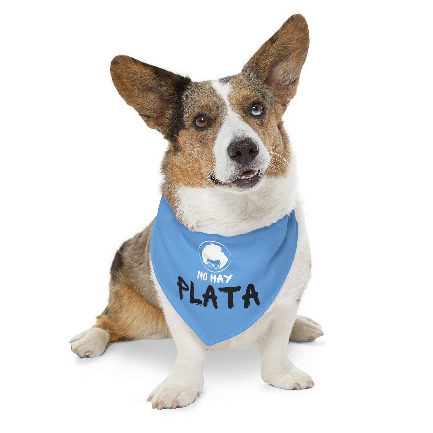 Pet Bandana Collar - No hay plata - Celeste