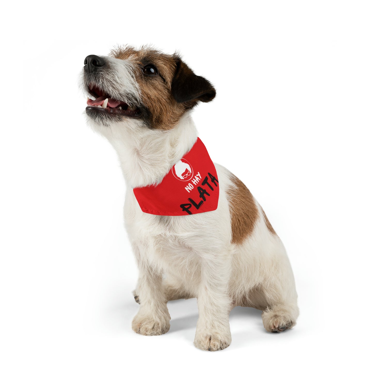 Pet Bandana Collar - No hay plata - Rojo