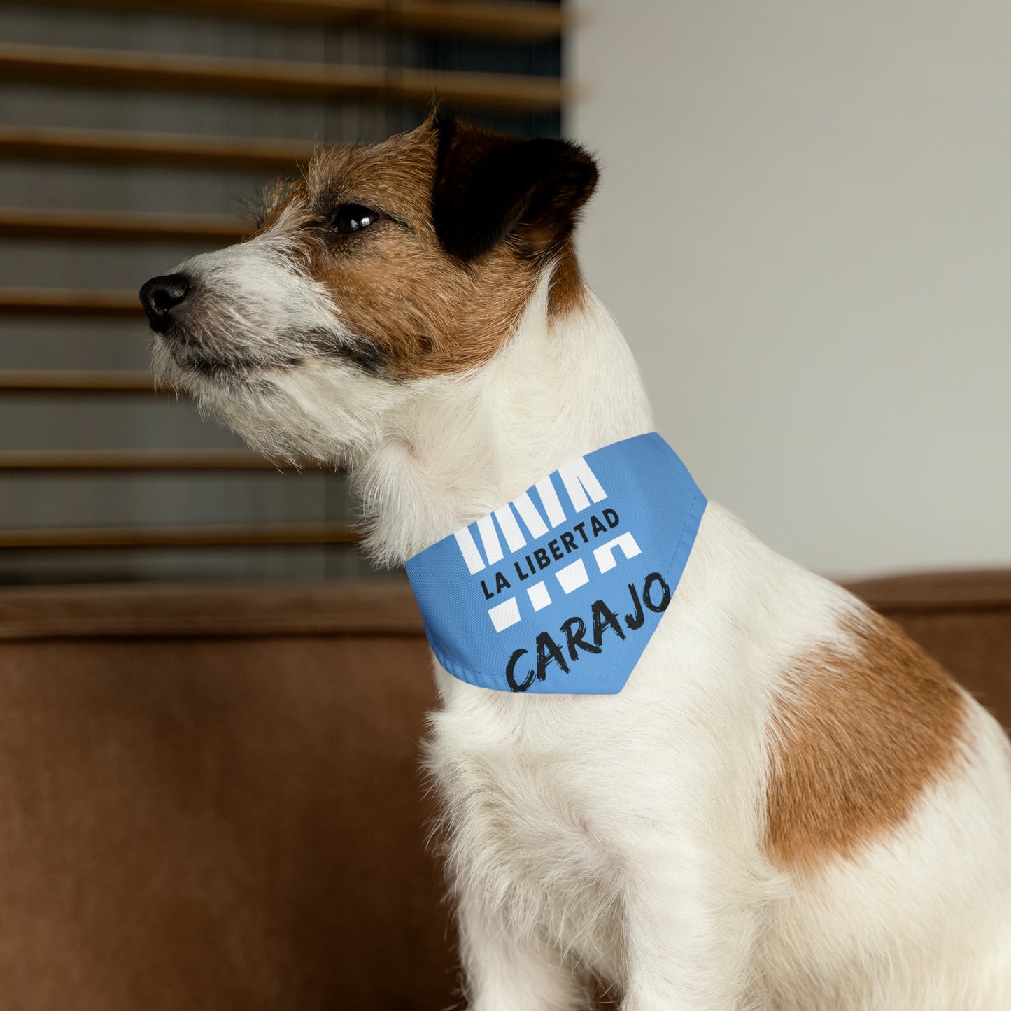 Pet Bandana Collar - La libertad - Celeste