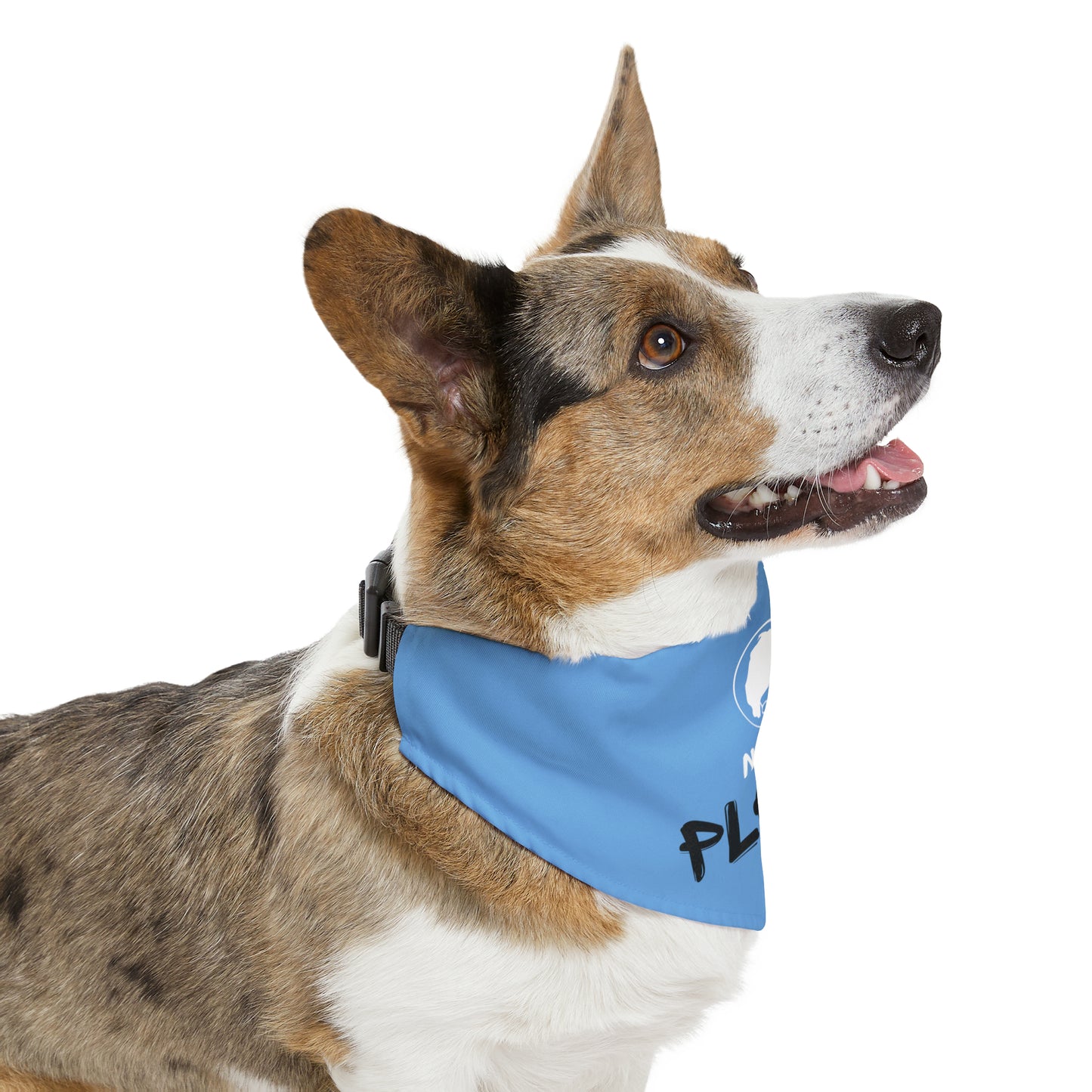 Pet Bandana Collar - No hay plata - Celeste